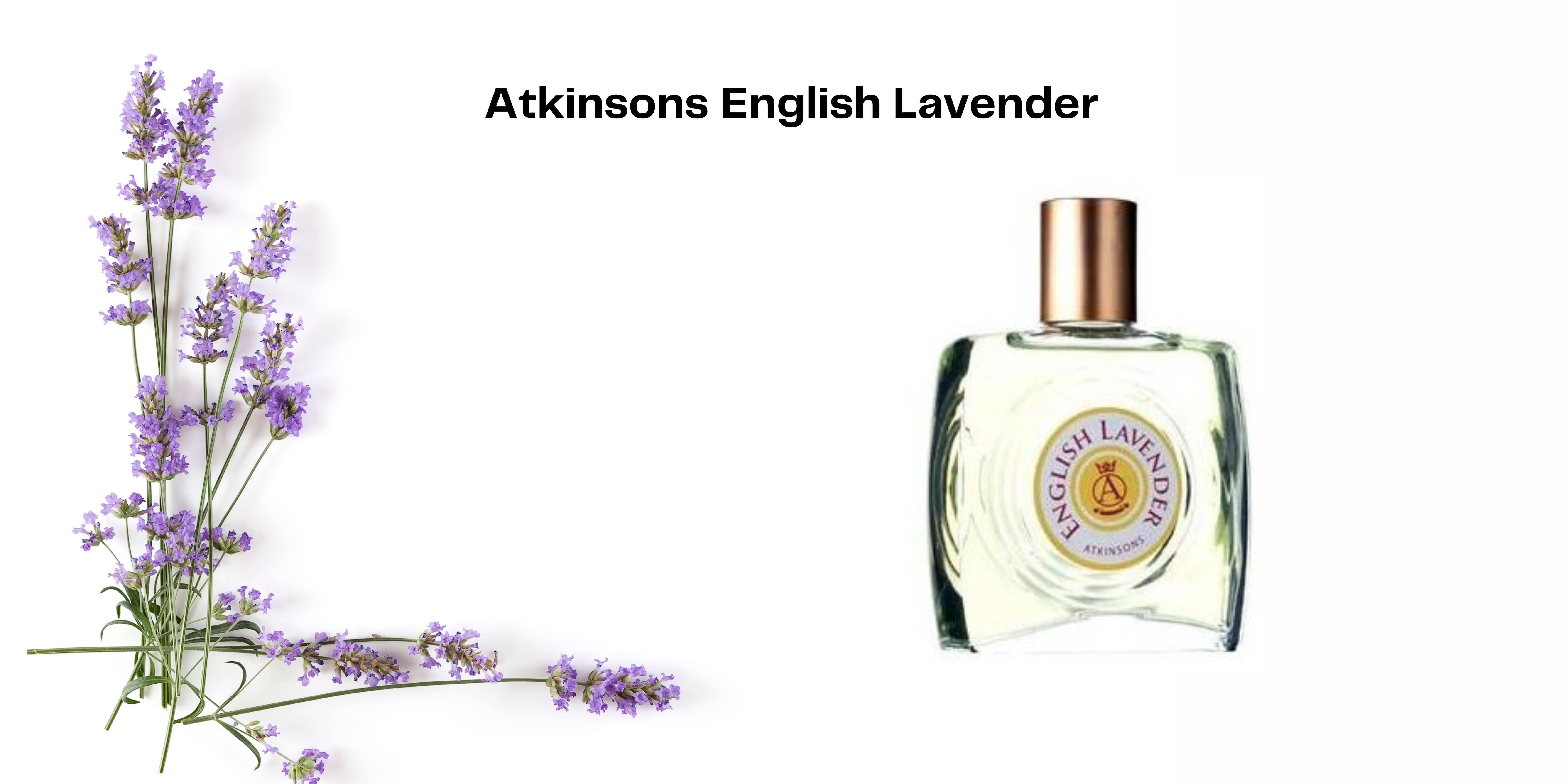 Perfume Atkinsons English Lavender